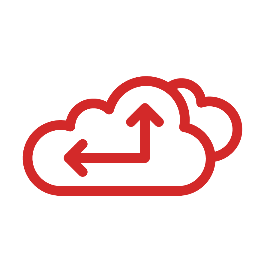 NLS-TechnologyIcons_Data Management