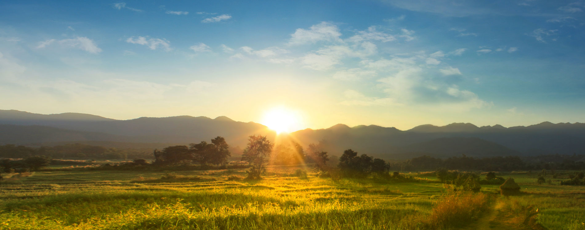 Sunset over a field. Next Level Solutions' A Message Different Than The Others.