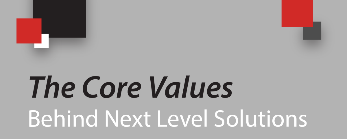 The Core Values Behind Next Level Solutions