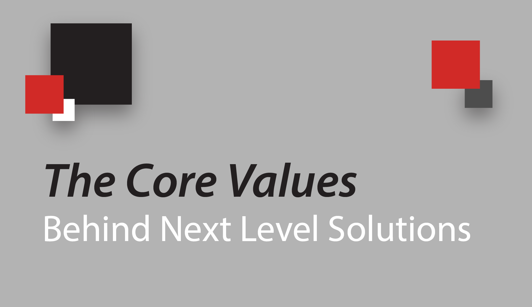 The Core Values Behind Next Level Solutions