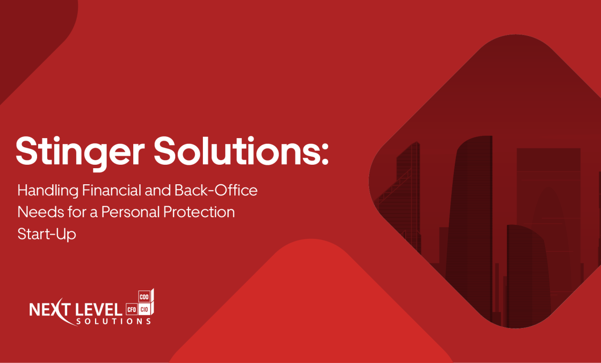 Stinger Solutions Case Study: Handling Financial Needs