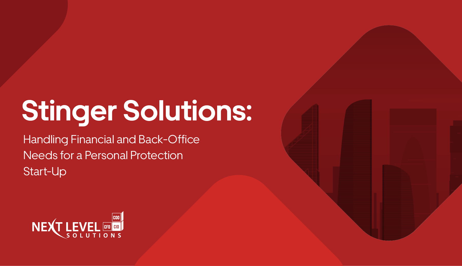 Stinger Solutions Case Study: Handling Financial Needs